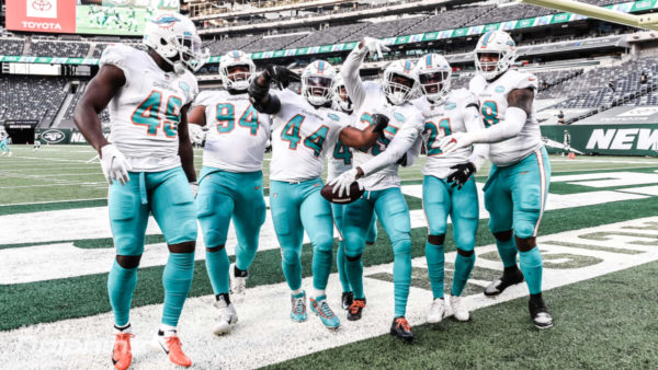Dolphins Defense