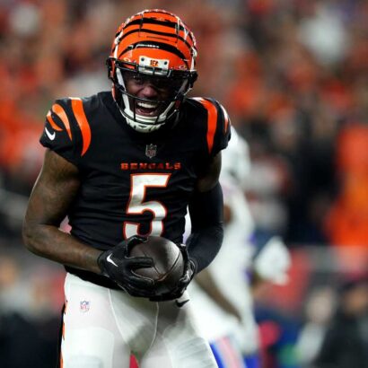 Tee Higgins